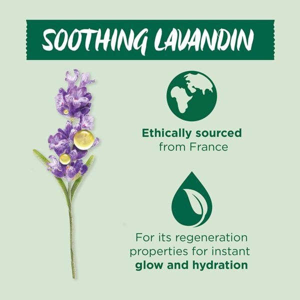 Garnier Organic rejuvenating Lavandin Glow Facial Oil 30 ml - Image 5