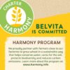 Belvita Honey & Nuts Choc Chips Breakfast Biscuits 5 x 45g - Image 7