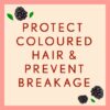 Aveeno Colour Protect Blackberry & Quinoa Shampoo 354ml - Image 3