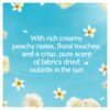 Fairy Outdoorable Non Bio Fabric Conditioner 770ml - Image 3