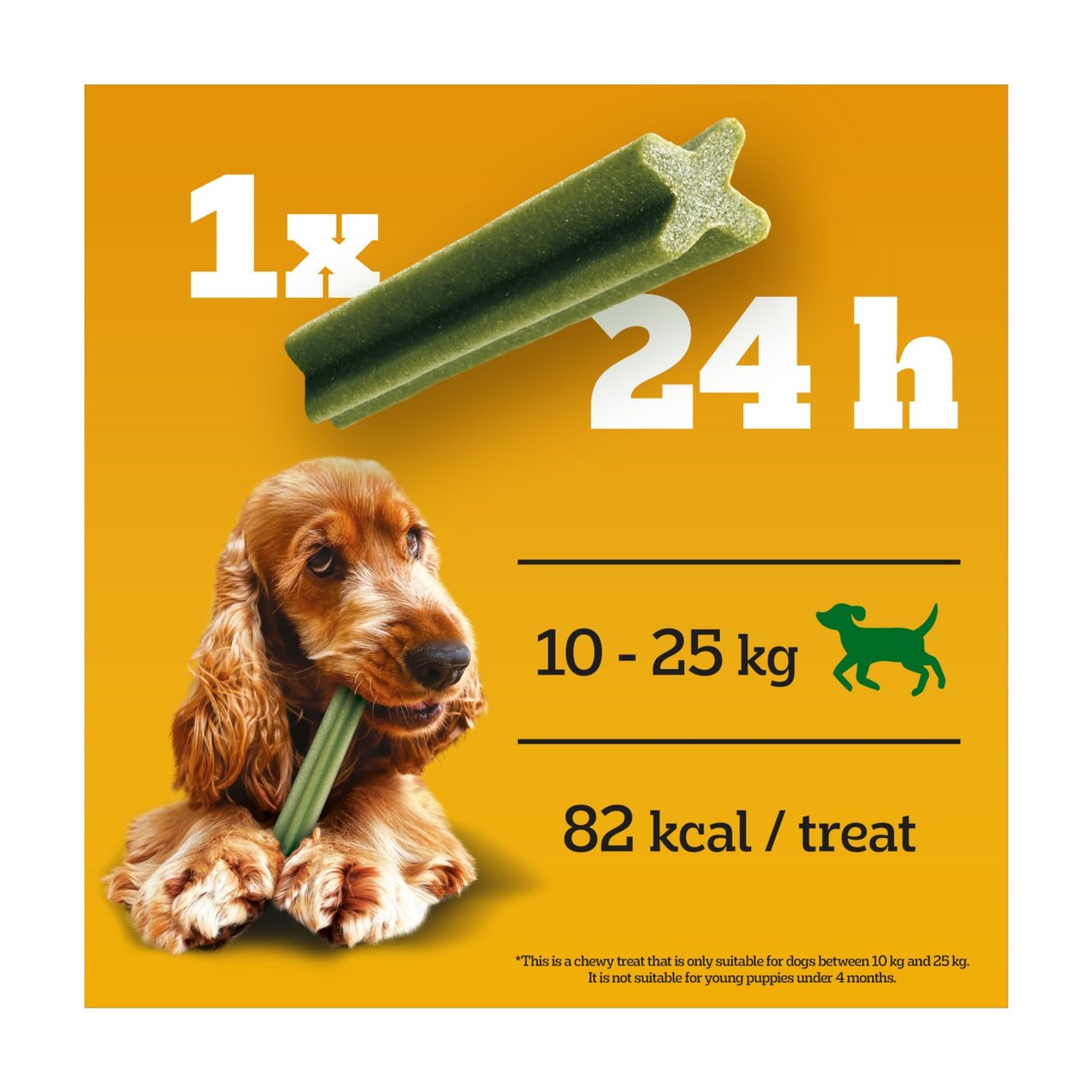 Dentastix dog chews outlet