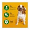 Pedigree Dentastix Daily Fresh Dental Chews Medium Dog 5 per pack 128g - Image 6